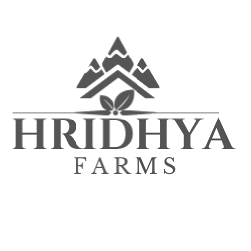 Logo 7